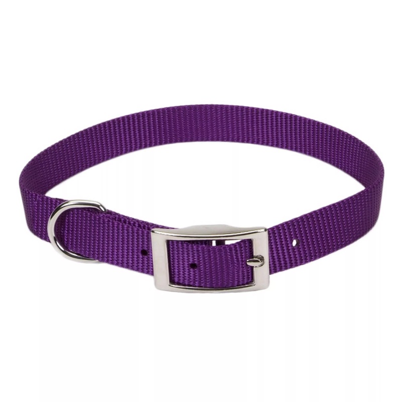 Coastal Single-Ply Dog Collar 5/8″ X 12″ Bright Pink