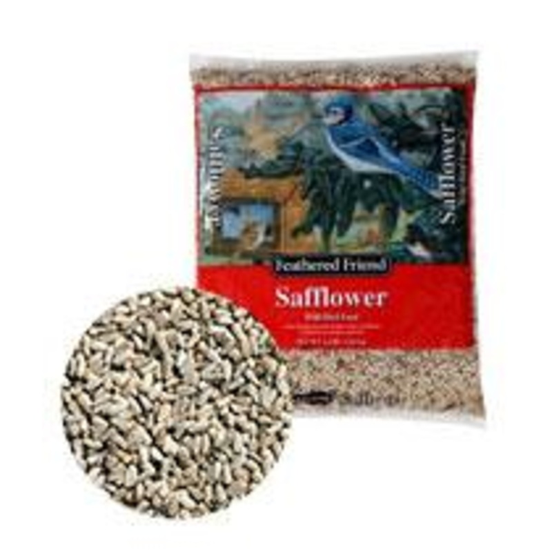 Feathered Friend Safflower Seed