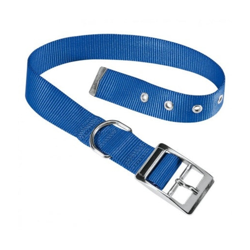 Ferplast Club CF Collar[Color – Blue, Dimension – 27-35cm x 15mm]