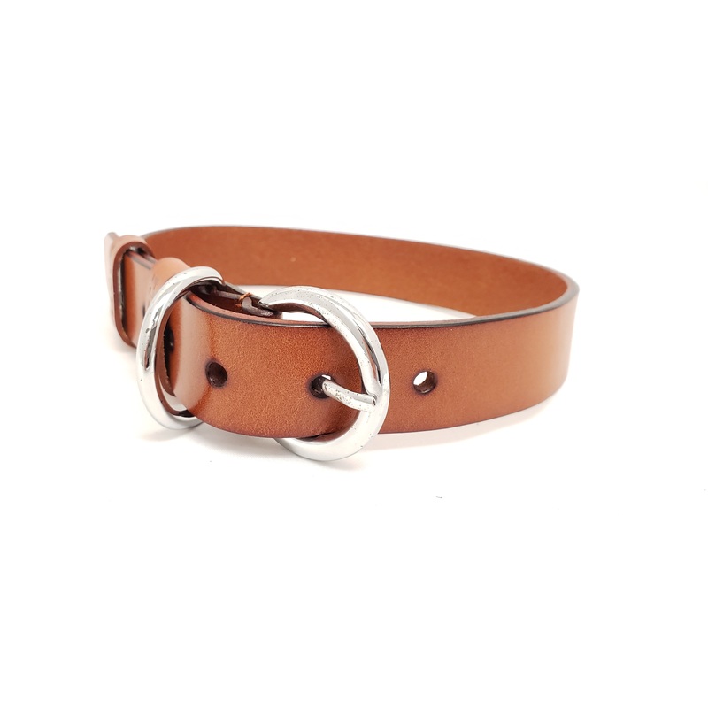 Brown Leather Dog Collar Plane – Large