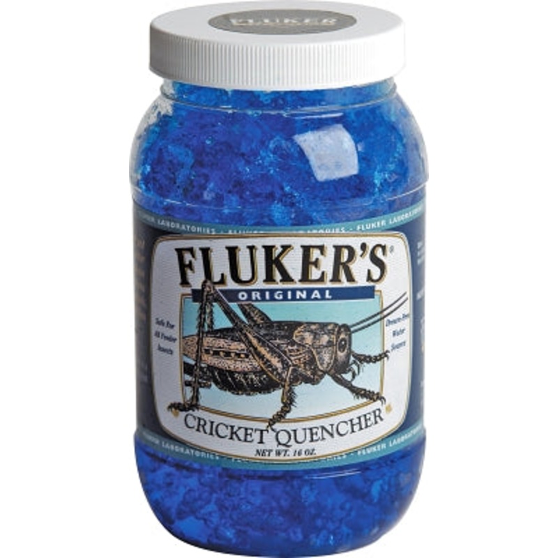 Fluker s Original Cricket Quencher  16 Oz