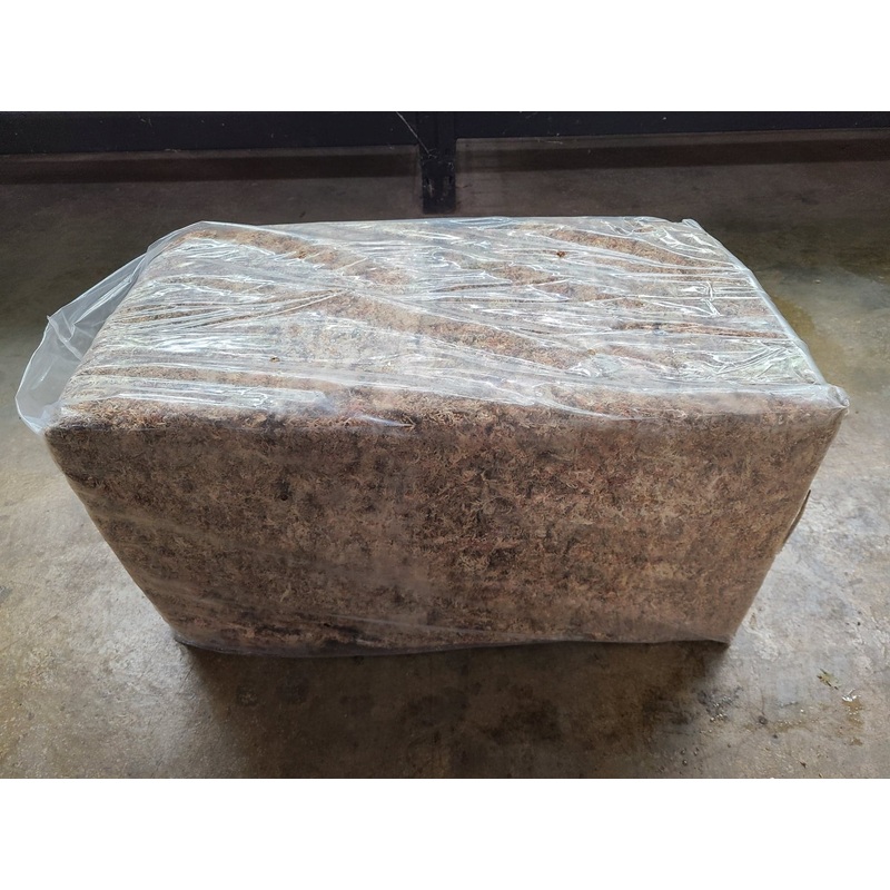 FrogDaddy 4kg BULK Sphagnum Moss A/B Grade