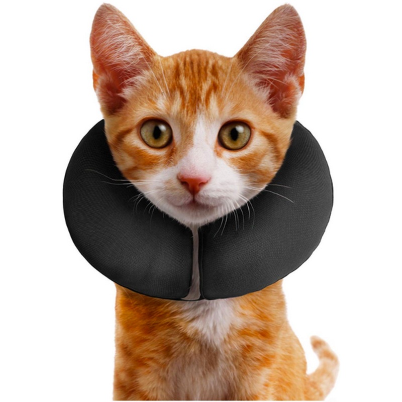 Inflatable Procollar – XS