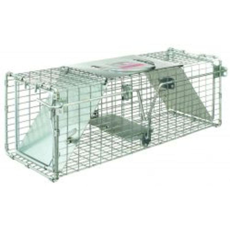 Little Giant Double-Door Entry Live Animal Trap