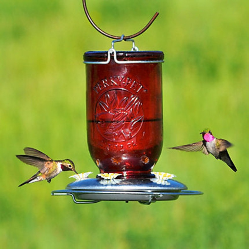 Perky-Pet Red Mason Jar Glass Hummingbird Feeder – 32 oz Nectar Capacity