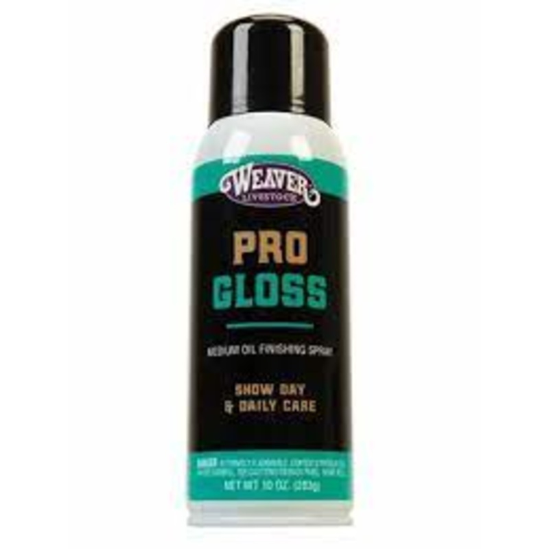 ProGloss
