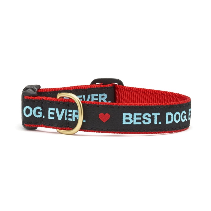 Up Country Best Dog Ever Dog Collar X-Small (6″-12″) 5/8″