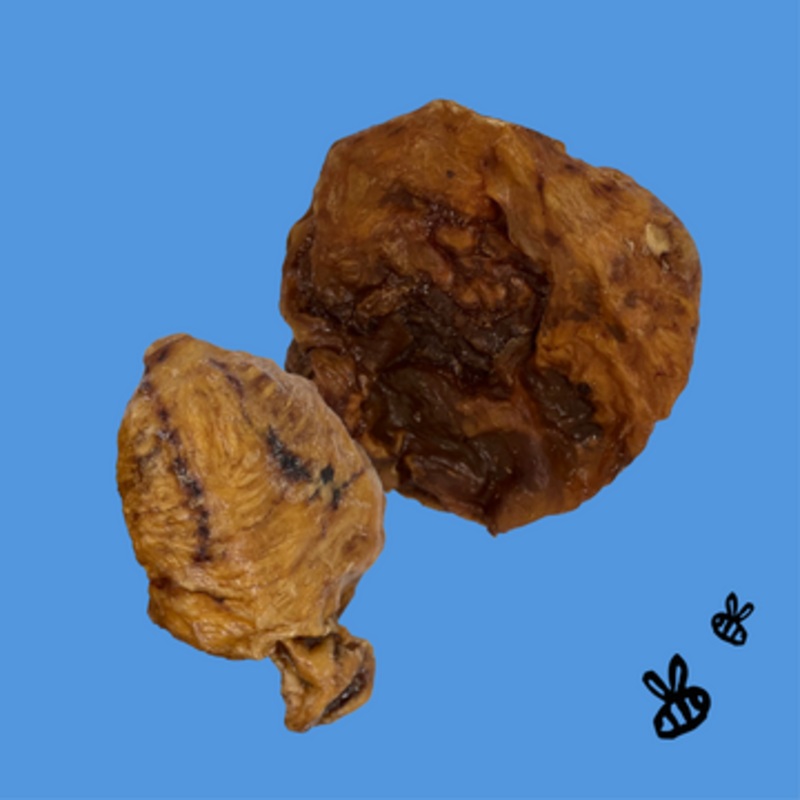 All American Pets Honey I’m Home Tremenda Disc Dog Treats