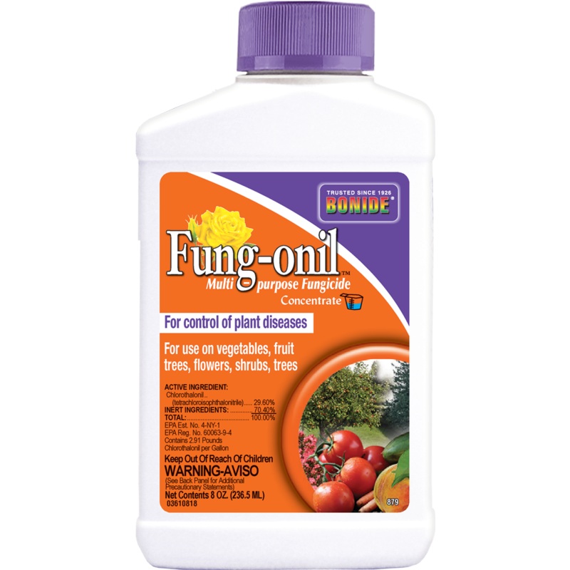 Bonide Fung-onil Conc 16 oz