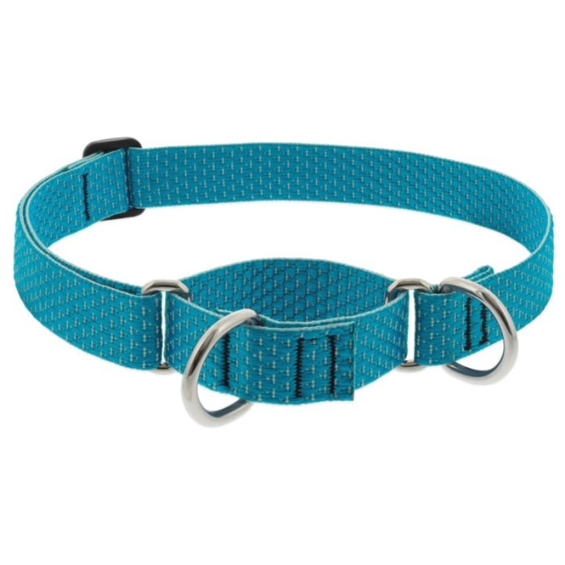 Lupine Eco Martingale Dog Collar for Training 1″ x 15″-22″ Tropical Sea