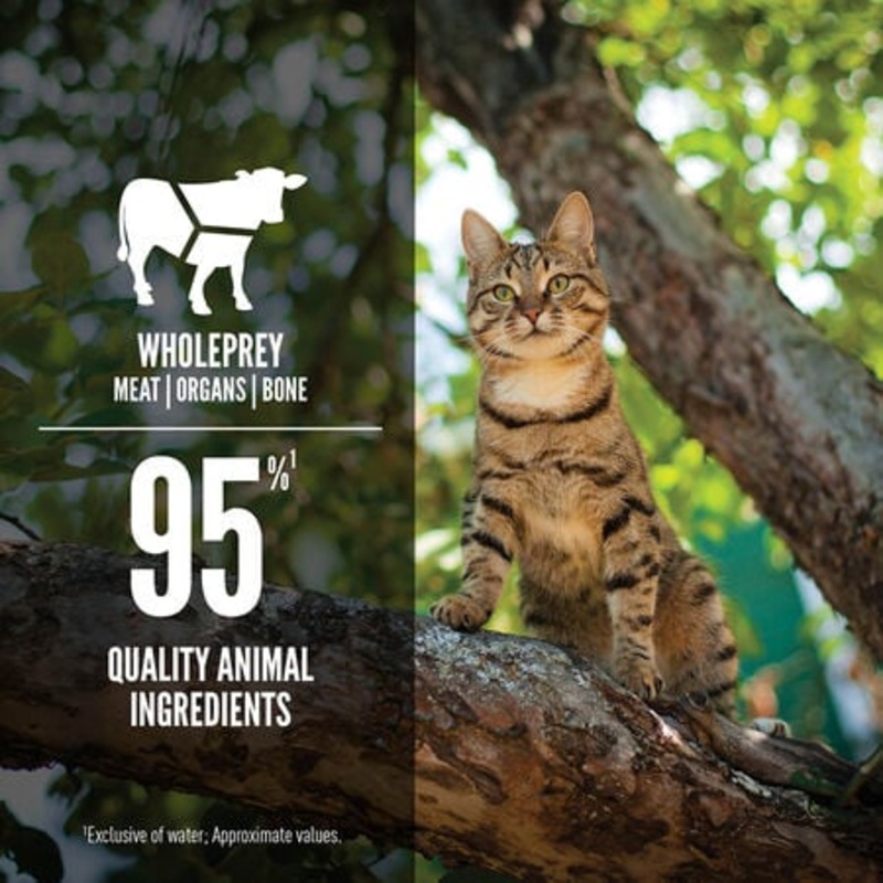 ORIJEN Tuna, Salmon & Beef Entre Wet Cat Food