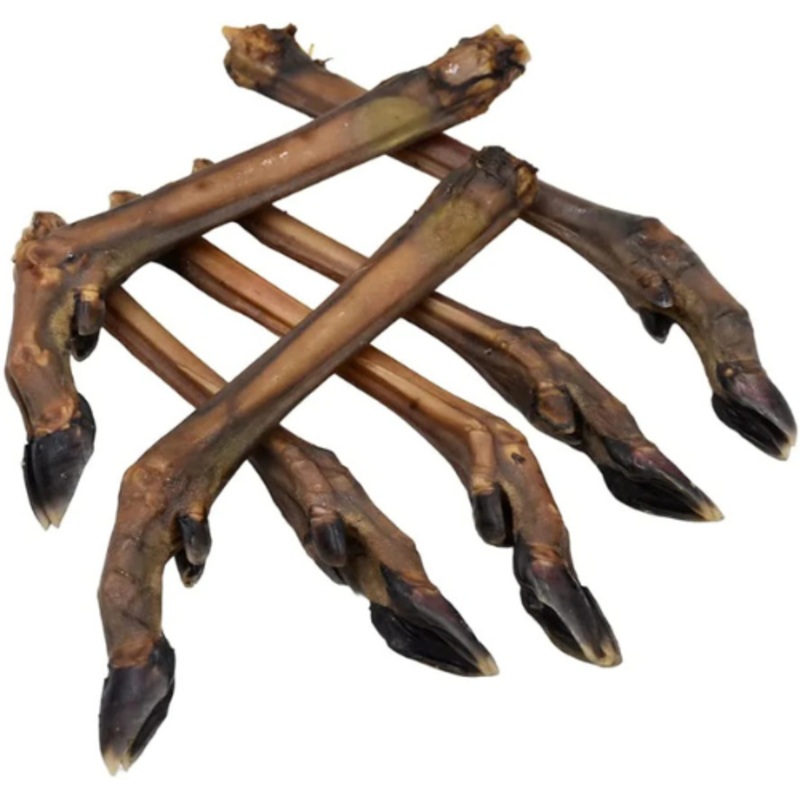 Roe Deer Leg – Single