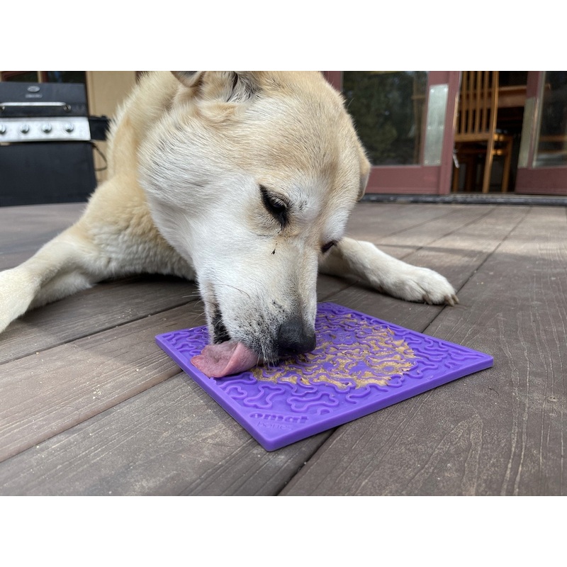 Soda Pup  Bone Design Lick Mat Purple