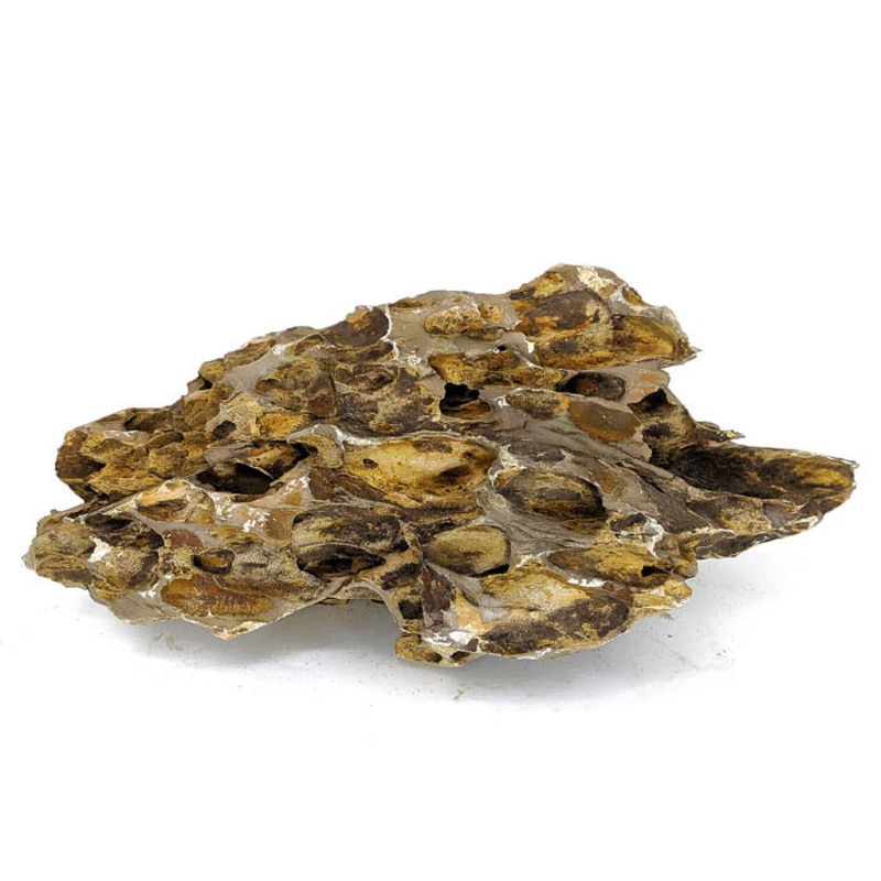 Dragon Stone (Ohko Stone) Bulk 10lb