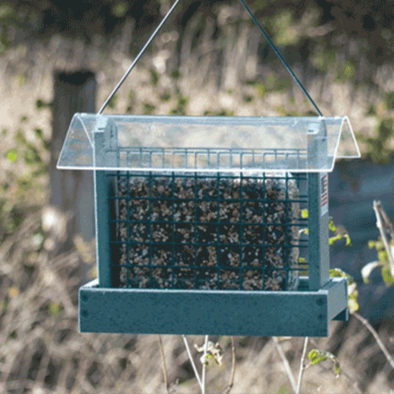 Going Green Peanut/Suet Feeder – Green