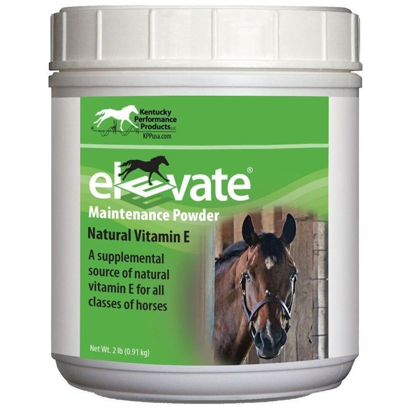 KENTUCKY PERFORMANCE PRODUCTS ELEVATE MAINTENANCE POWDER 2 LB