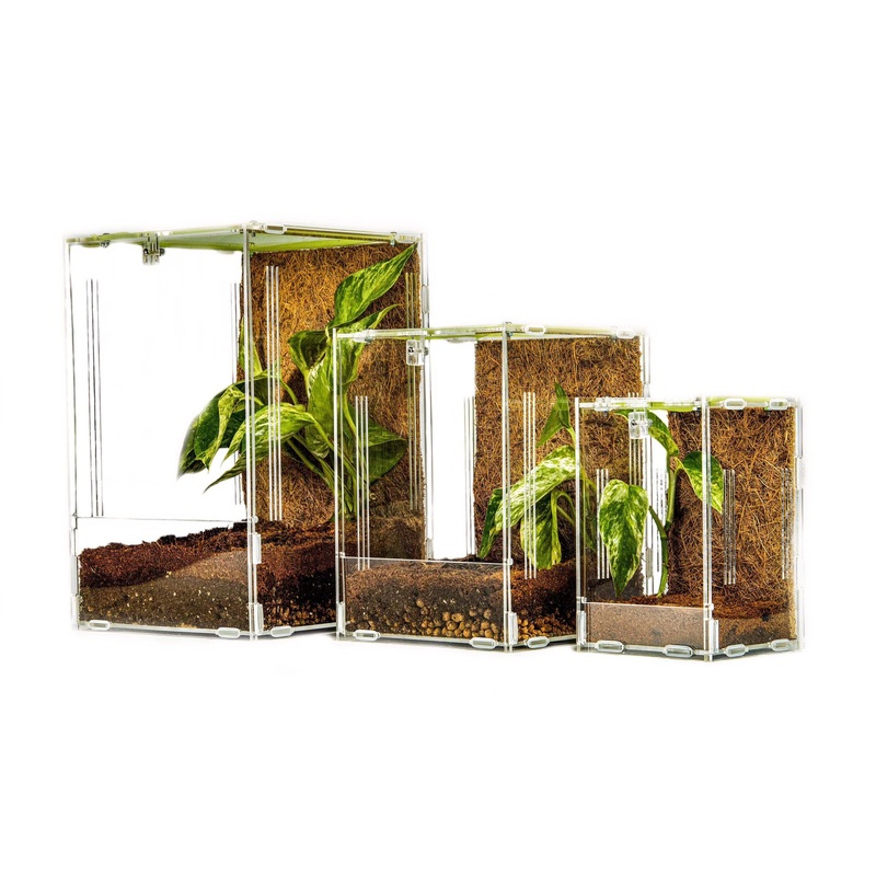 Acrylic Mantis Enclosure Small (10x10x15cm)