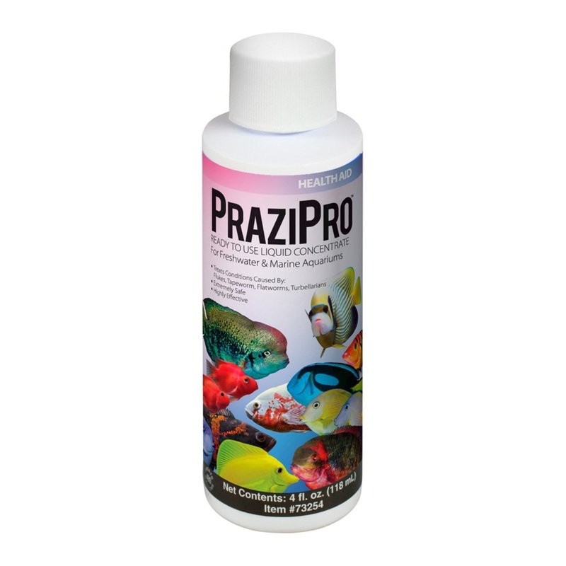 Aquarium Solutions Prazipro Liquid Treatment4 1 fl oz