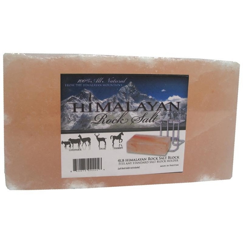 Gatsby Natural Himalayan Rock Salt Block 4 LB