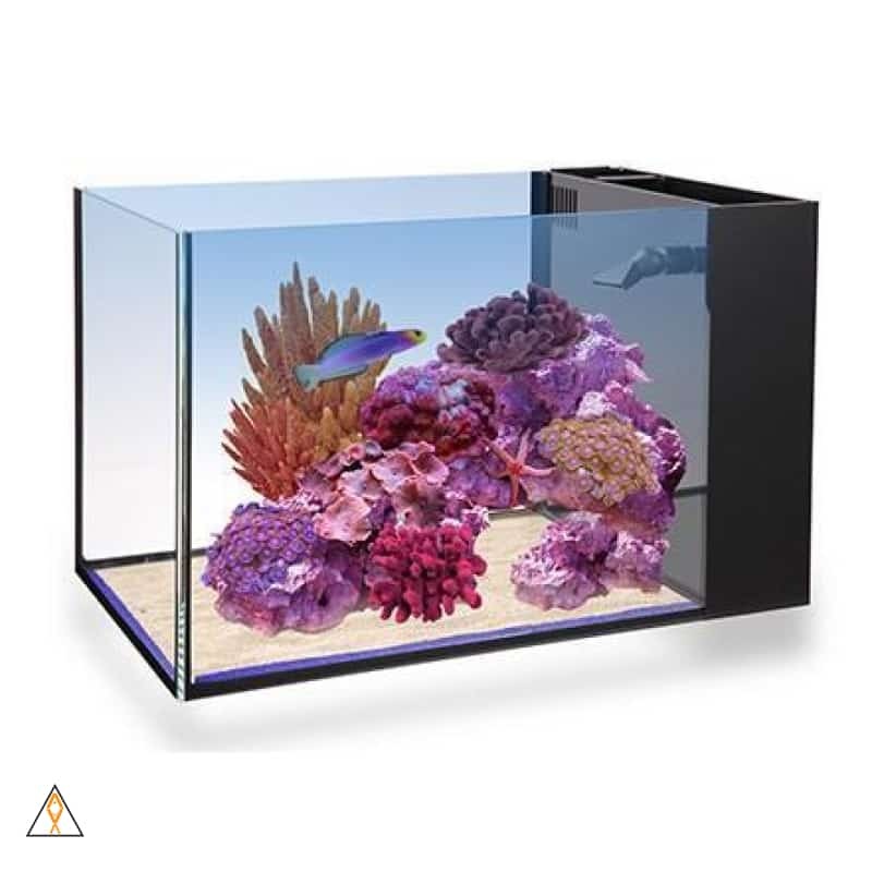 Nuvo Fusion Peninsula 14 – Innovative Marine