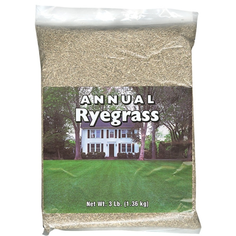 Southern States Annual Ryegrass