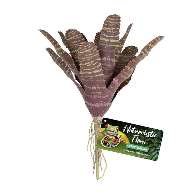 Zoo Med Naturalistic Flora Plant Chestnut Bromeliad