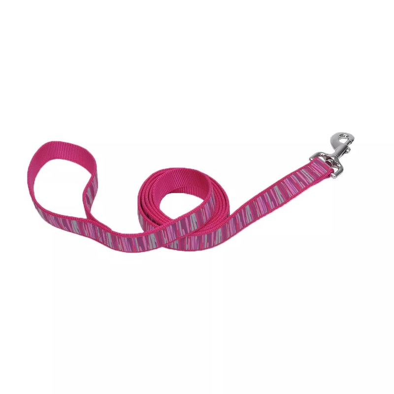 Coastal Ribbon Dog Leash (Medium/Large – 1″ X 6′, Yellow Buttercup)