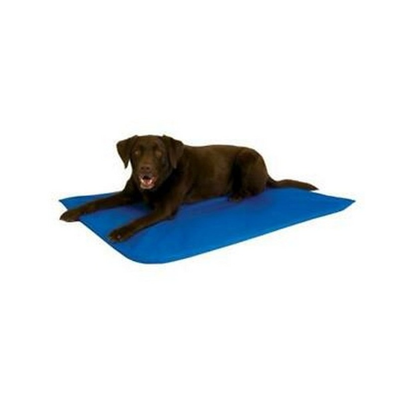 K&H Manufacturing Cool Bed III Cooling Dog Bed Blue Large – 32″ x 44″