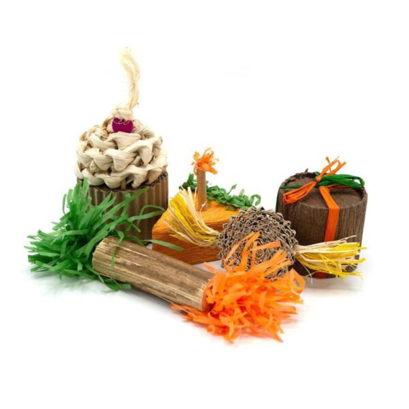 Oxbow Animal Health Enriched Life – Birthday Party Pack