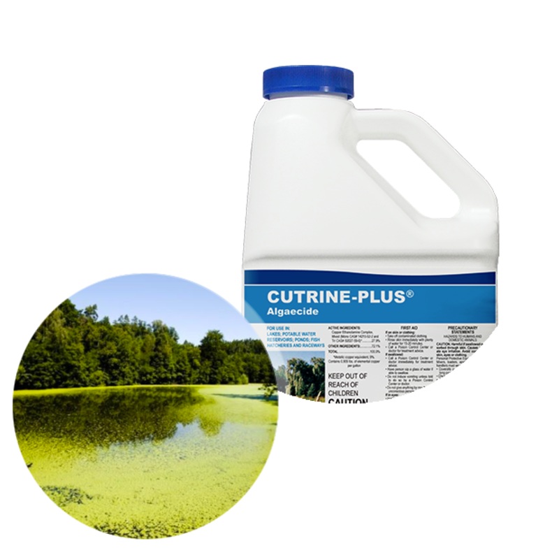 Applied Biochemists Cutrine Plus Algaecide and Herbicide 1 Gallon