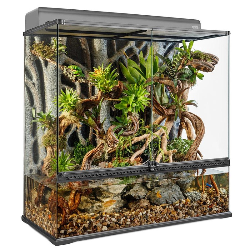 Exo Terra Glass Terrarium (90cm Wide) Large – COLLECTION ONLY 90x45x30cm