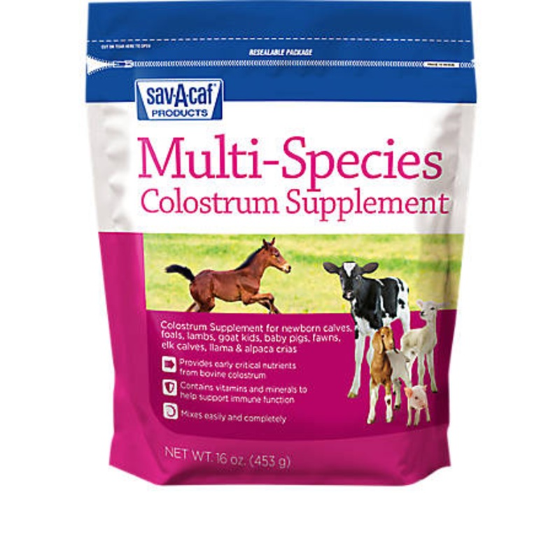 Sav-A-Caf Ultra Start Multi Species Colostrum 16OZ