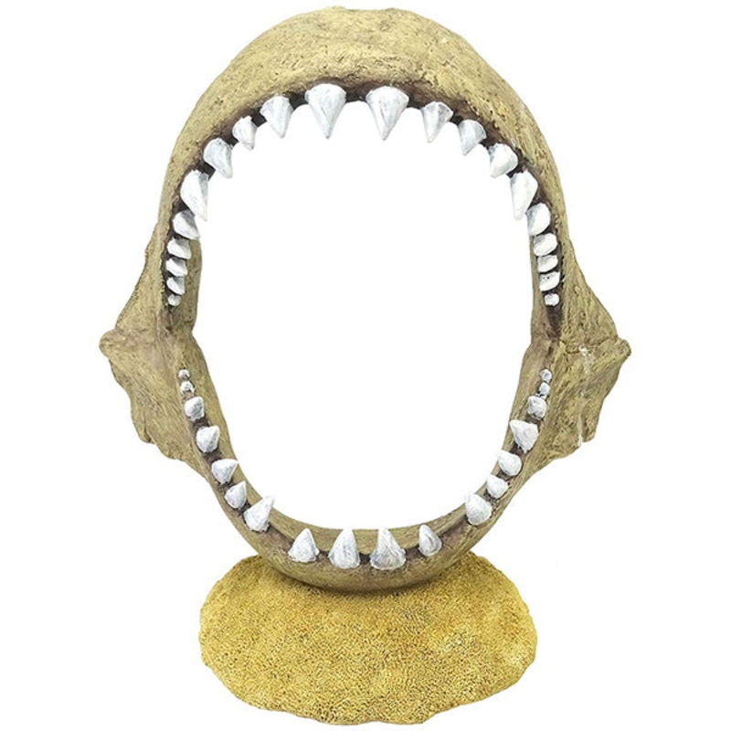Shark Jaw Aquarium Decoration 10-in