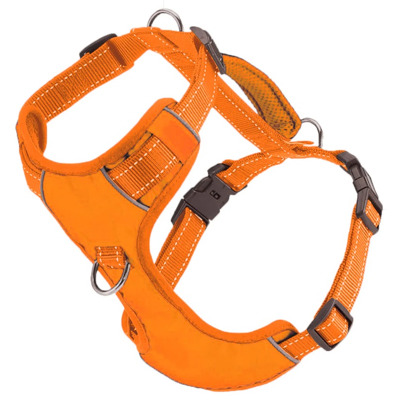 BAYDOG CHESAPEAKE HARNESS ORANGE – MEDIUM