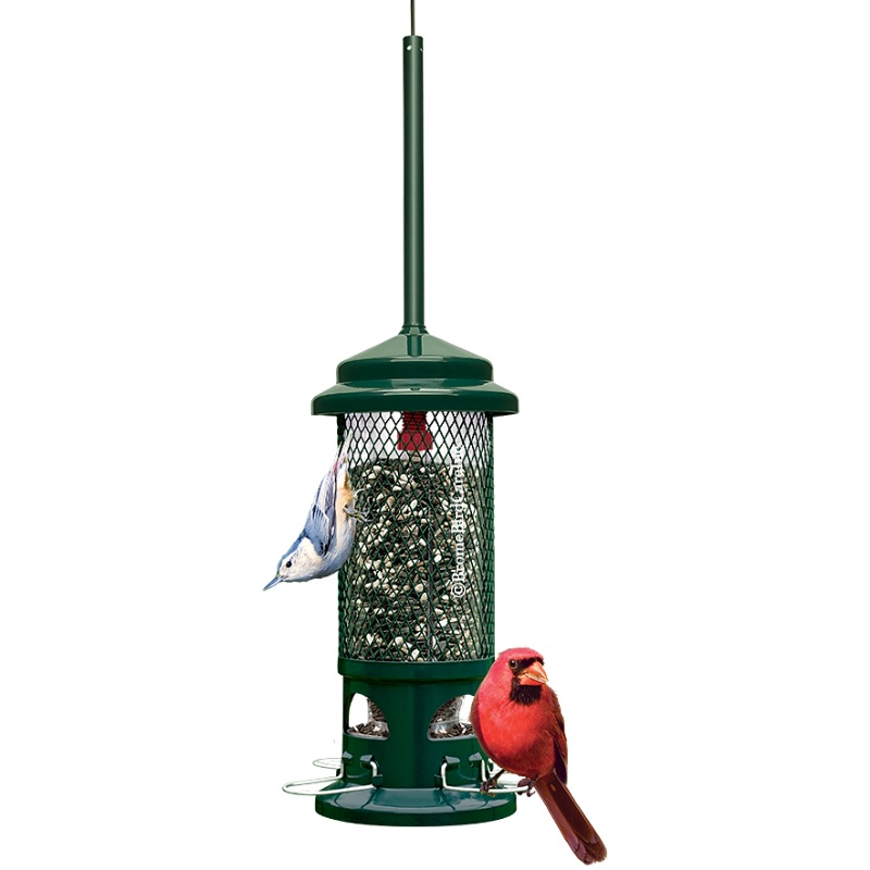 Brome Squirrel Buster Standard
