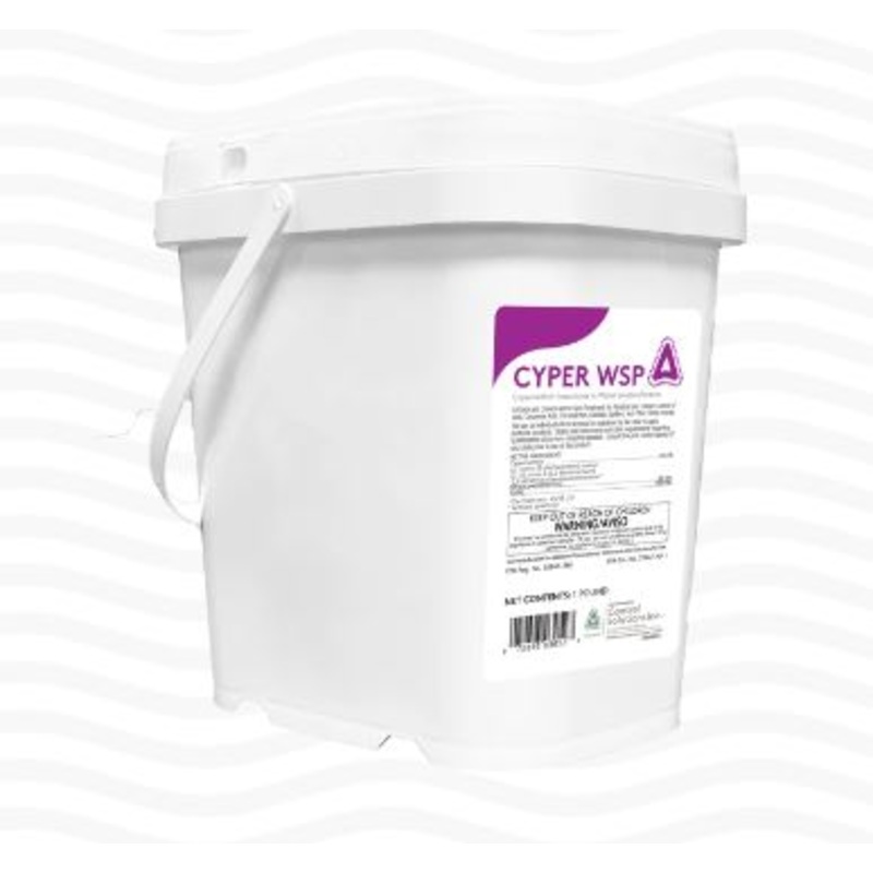 Control Solutions Cyper WSP