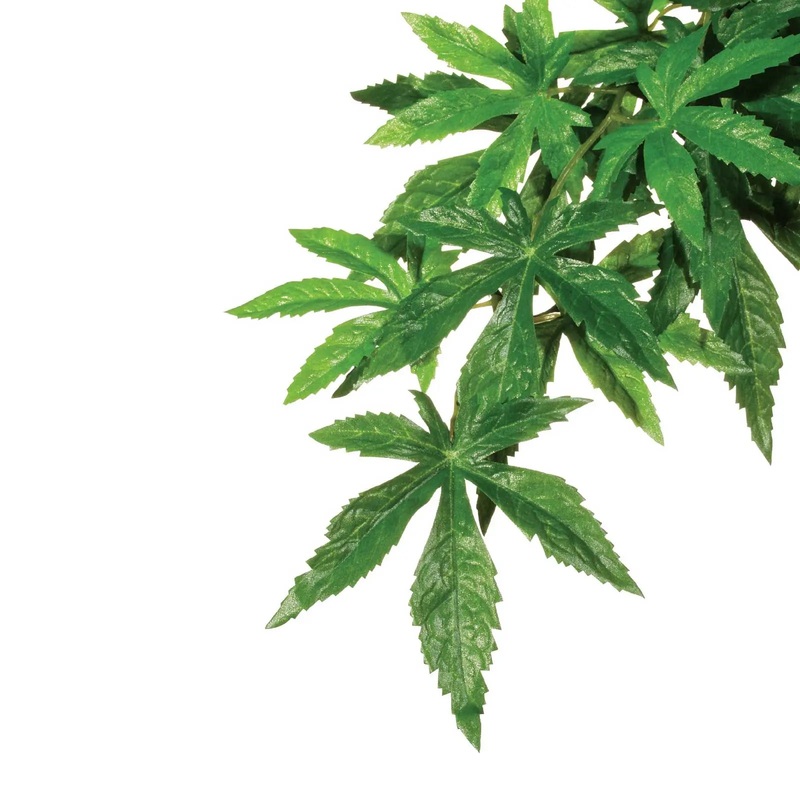 Exo Terra Plant Hanging Abuliton Small