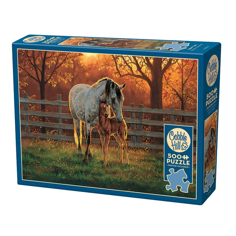 Quiet Time 500 Piece Puzzle