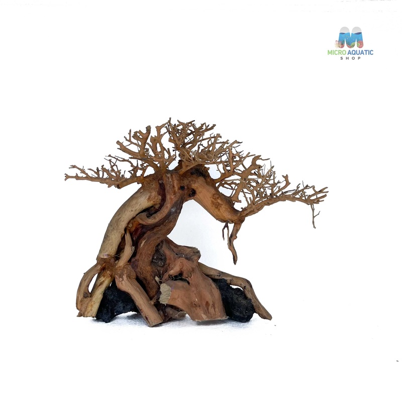 Masterpiece Bonsai Driftwood ~ 25 x 40 cm | C – 09