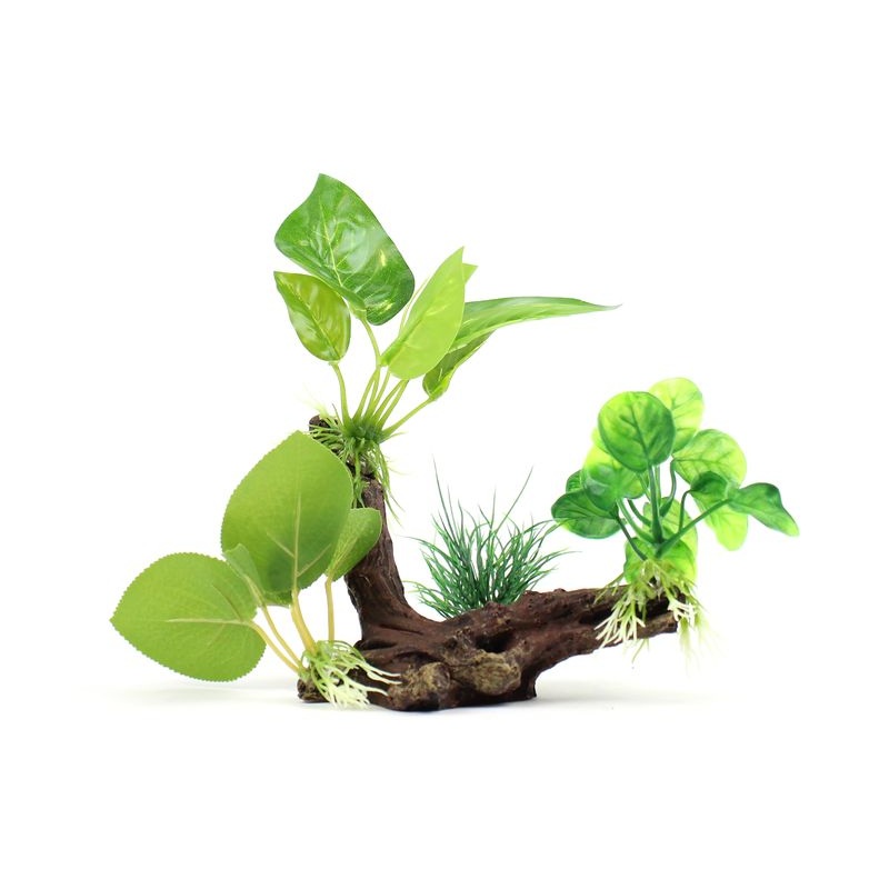 AQUA CARE ORNAMENT WOOD & PLANT 22X23CM