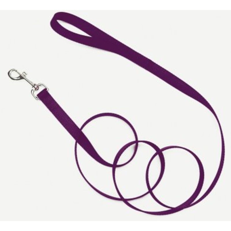 Coastal Single-Ply Nylon Dog Collar Purple 5/8 in x 4 ft