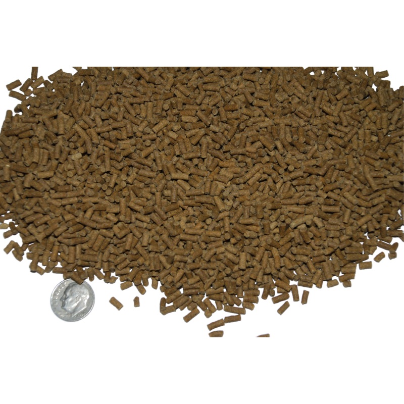 Ken’s Premium Sinking Pellets with Brine Shrimp 1/4 lb. Jar