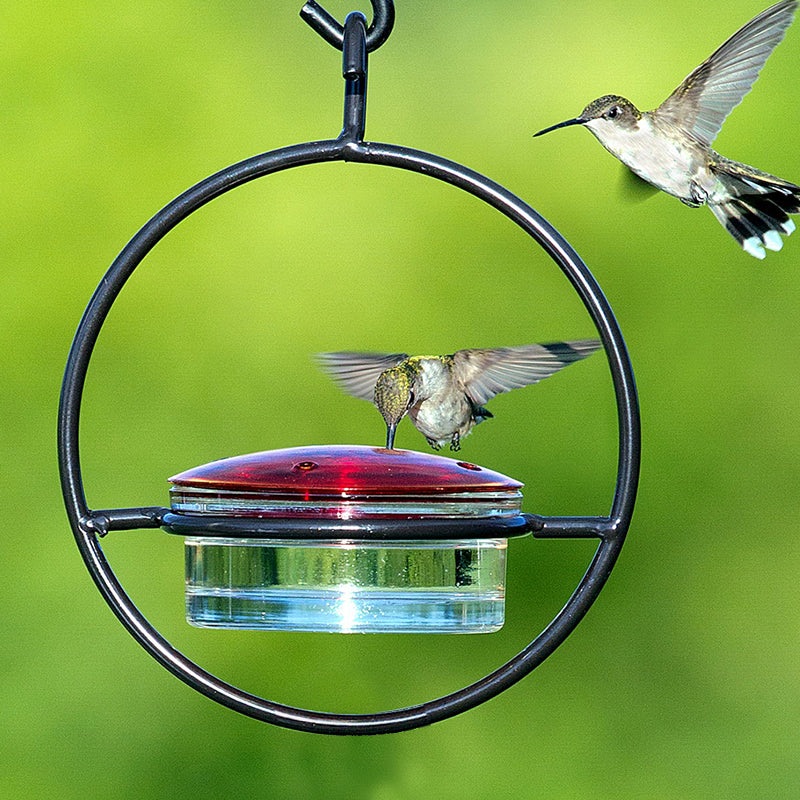 Sphere Hummingbird Feeder
