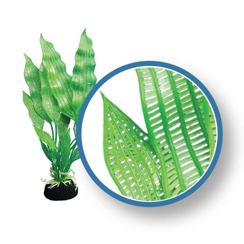 Weco Freshwater Pro Series Madagascar Lace Aquarium Plant 6 inch
