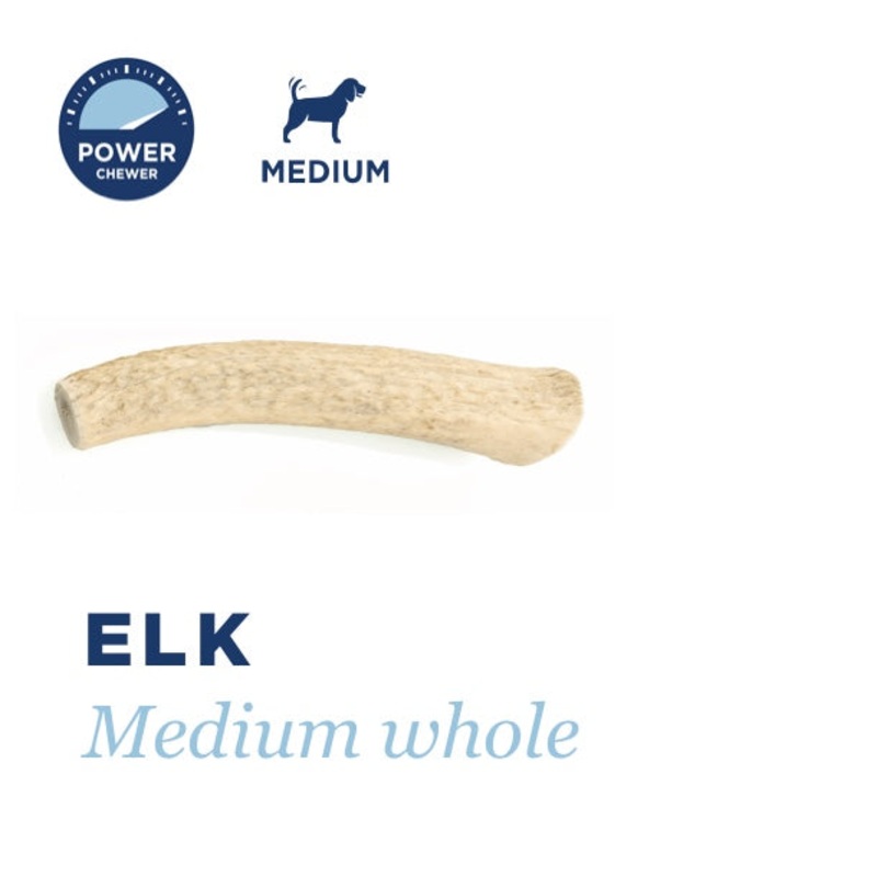 Barkworthies Elk Antler Medium Whole