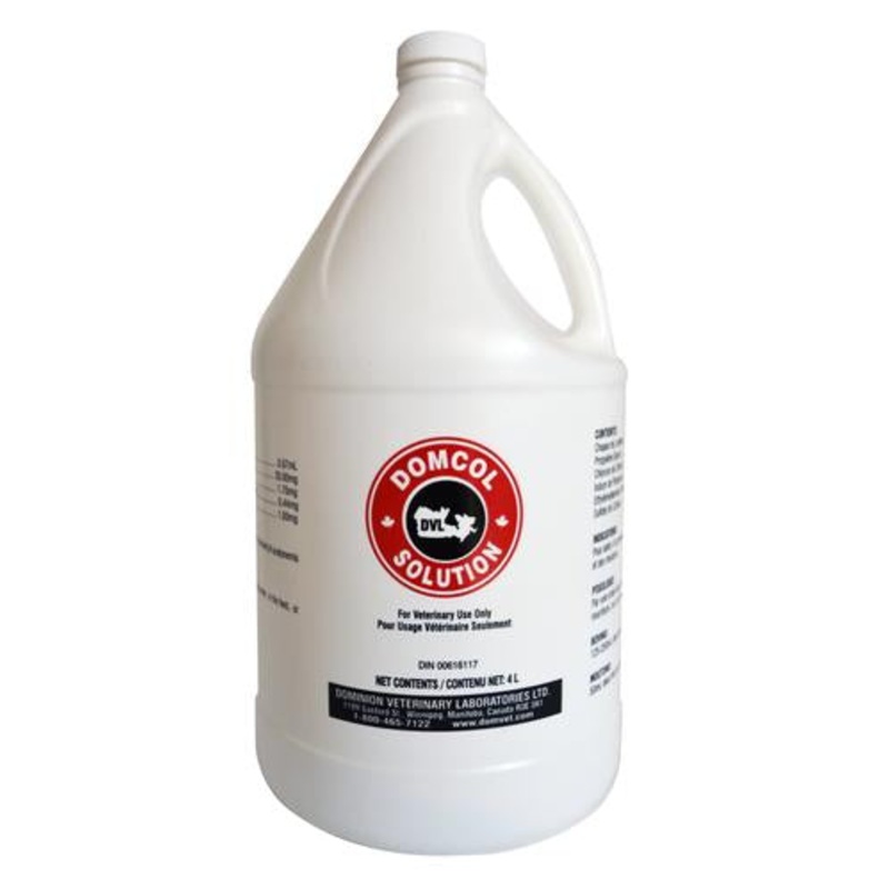 DVL Domcol Solution 4 L