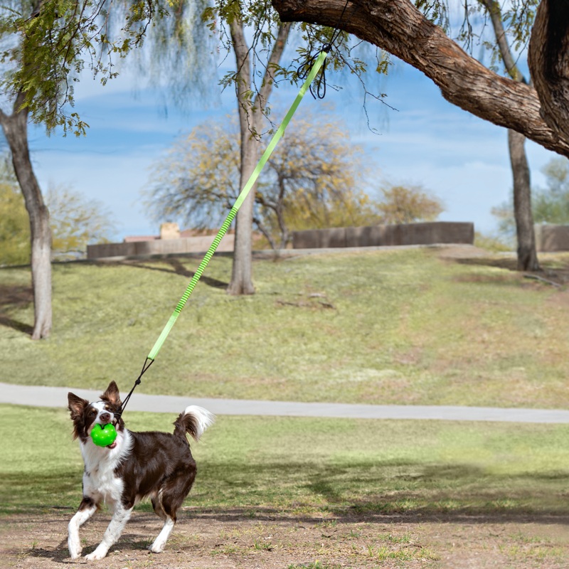 Jolly Pets Tree Tugger Bungee Large Green