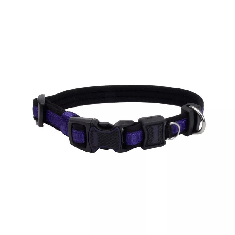 Coastal Pet Products Inspire Adjustable Dog Collar in Purple Extra Small