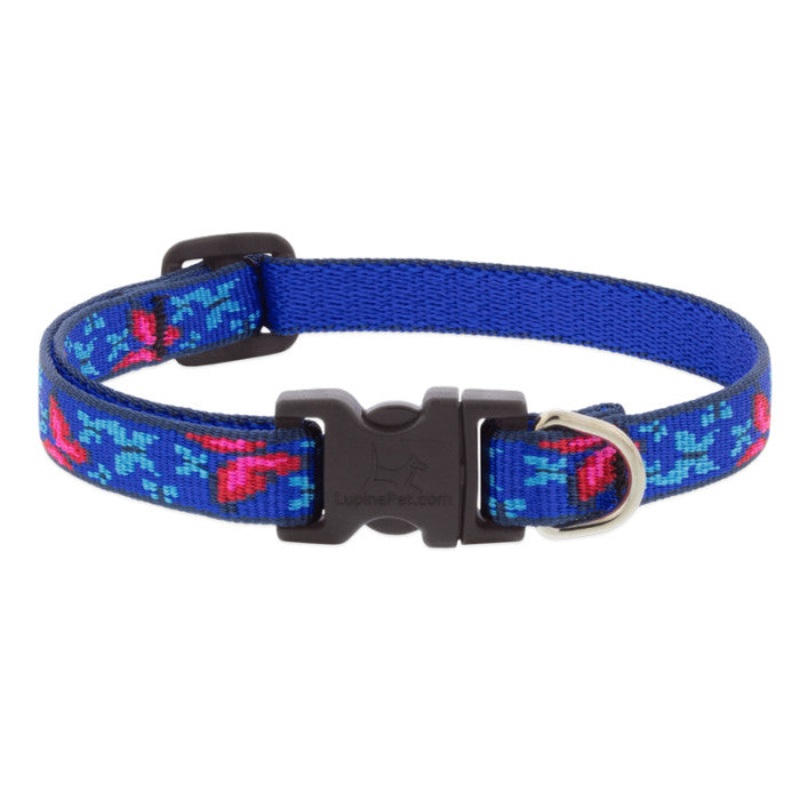 Lupine 10-16″, 1/2″ width Dog Collar – Social Butterfly