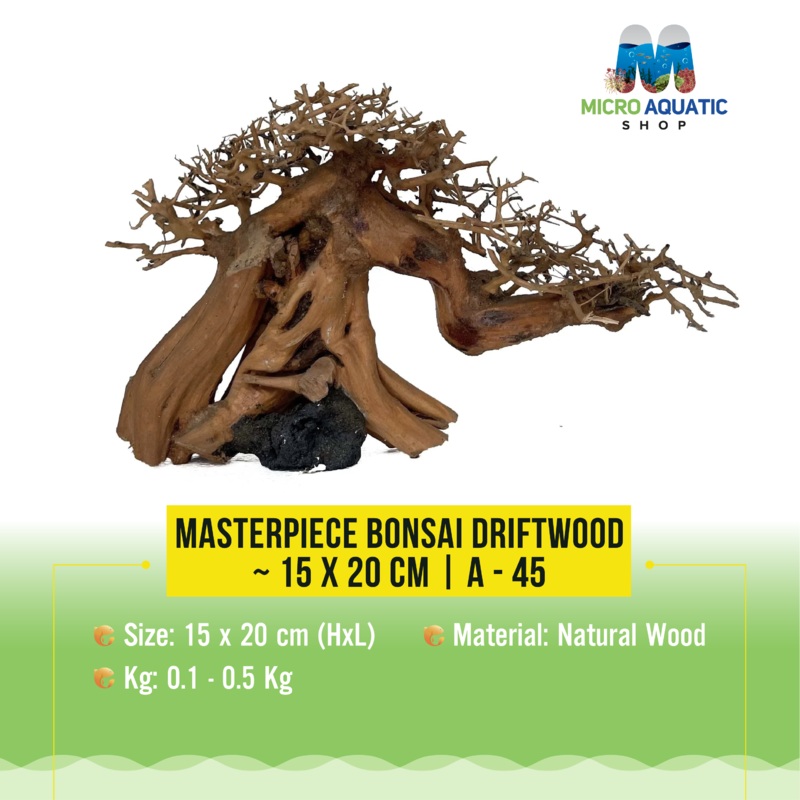 Masterpiece Bonsai Driftwood ~ 15 x 20 cm | A – 45
